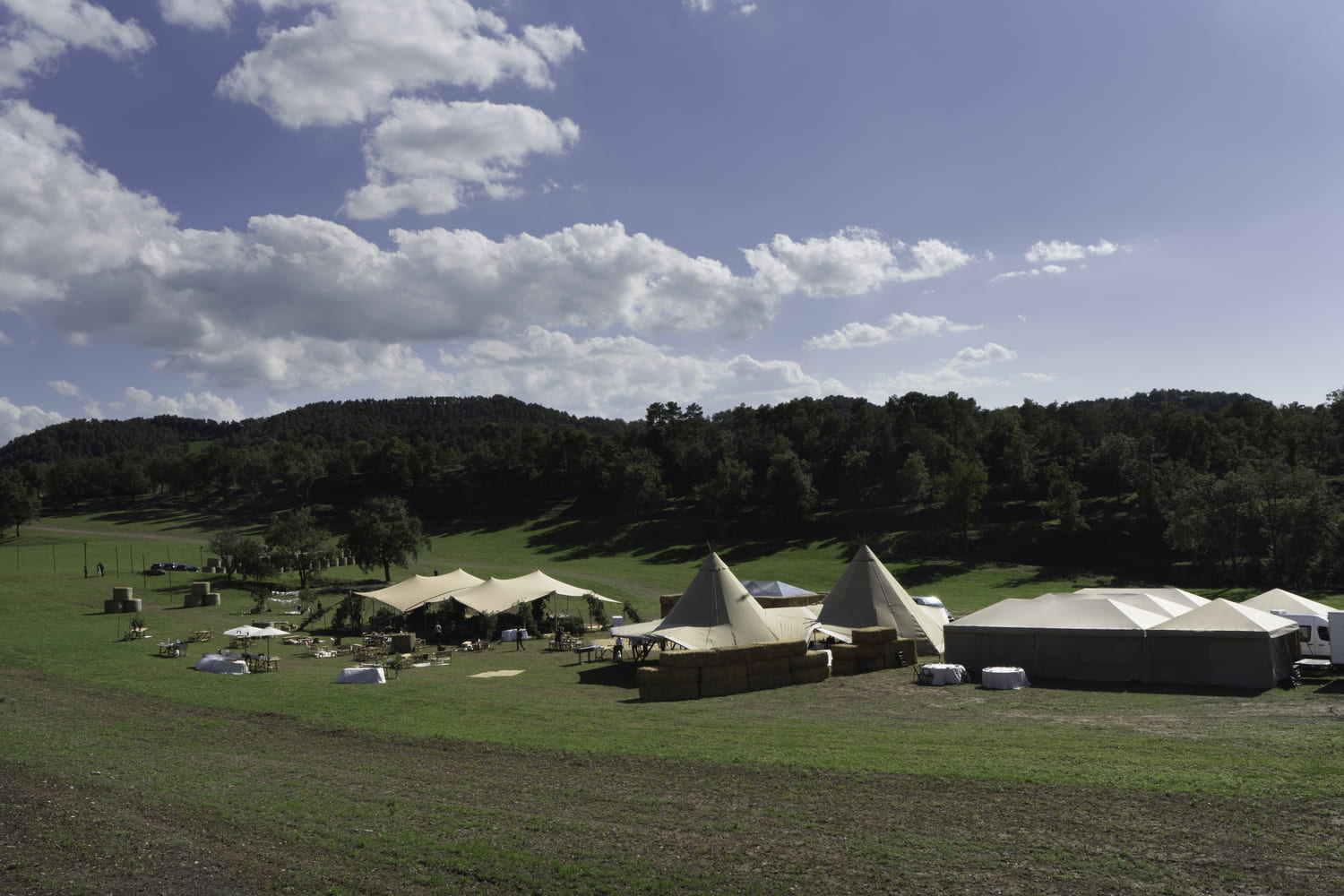 carpas en boda